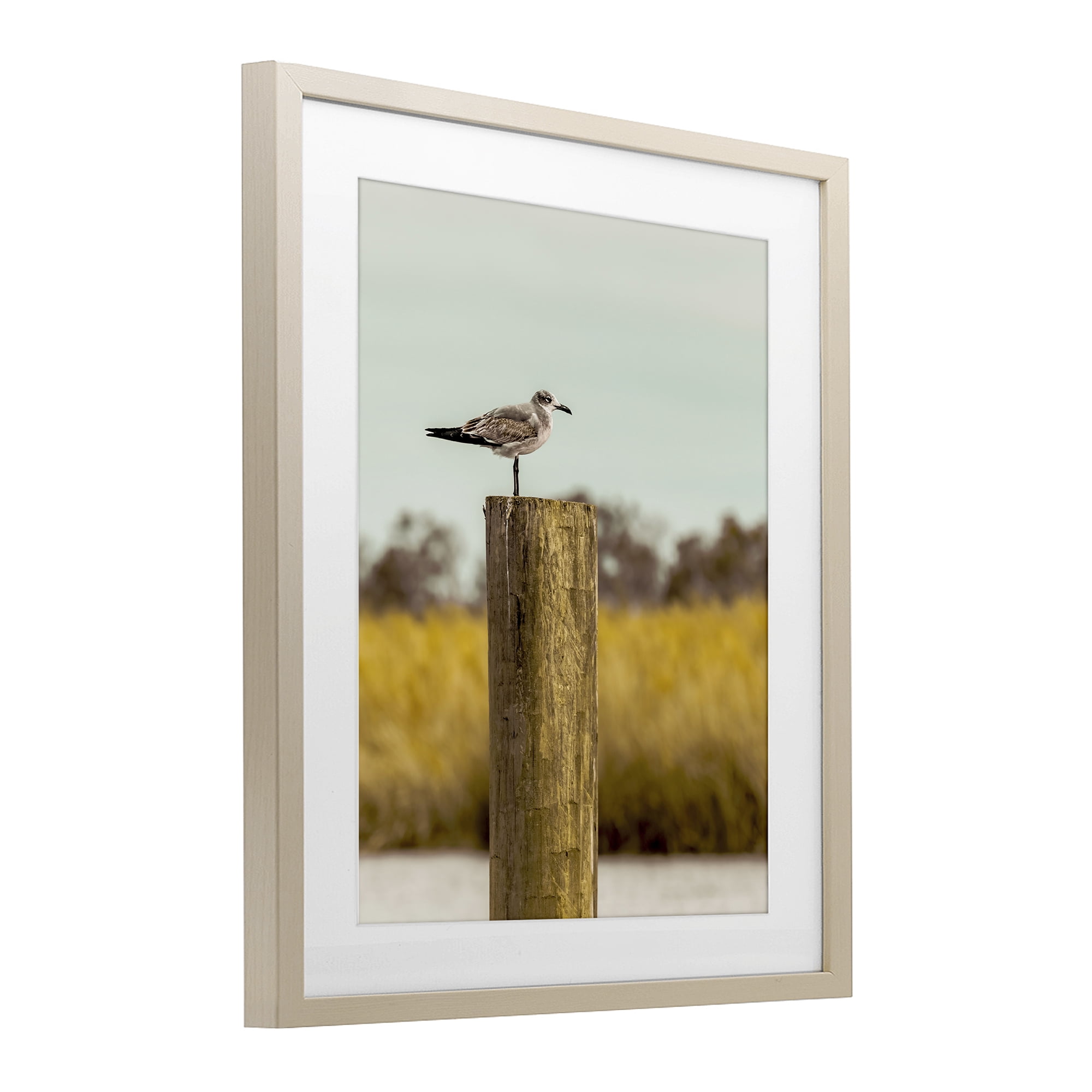Stupell Industries Gull On Piling Birch Framed Print Under Glass, design by Christy Berry