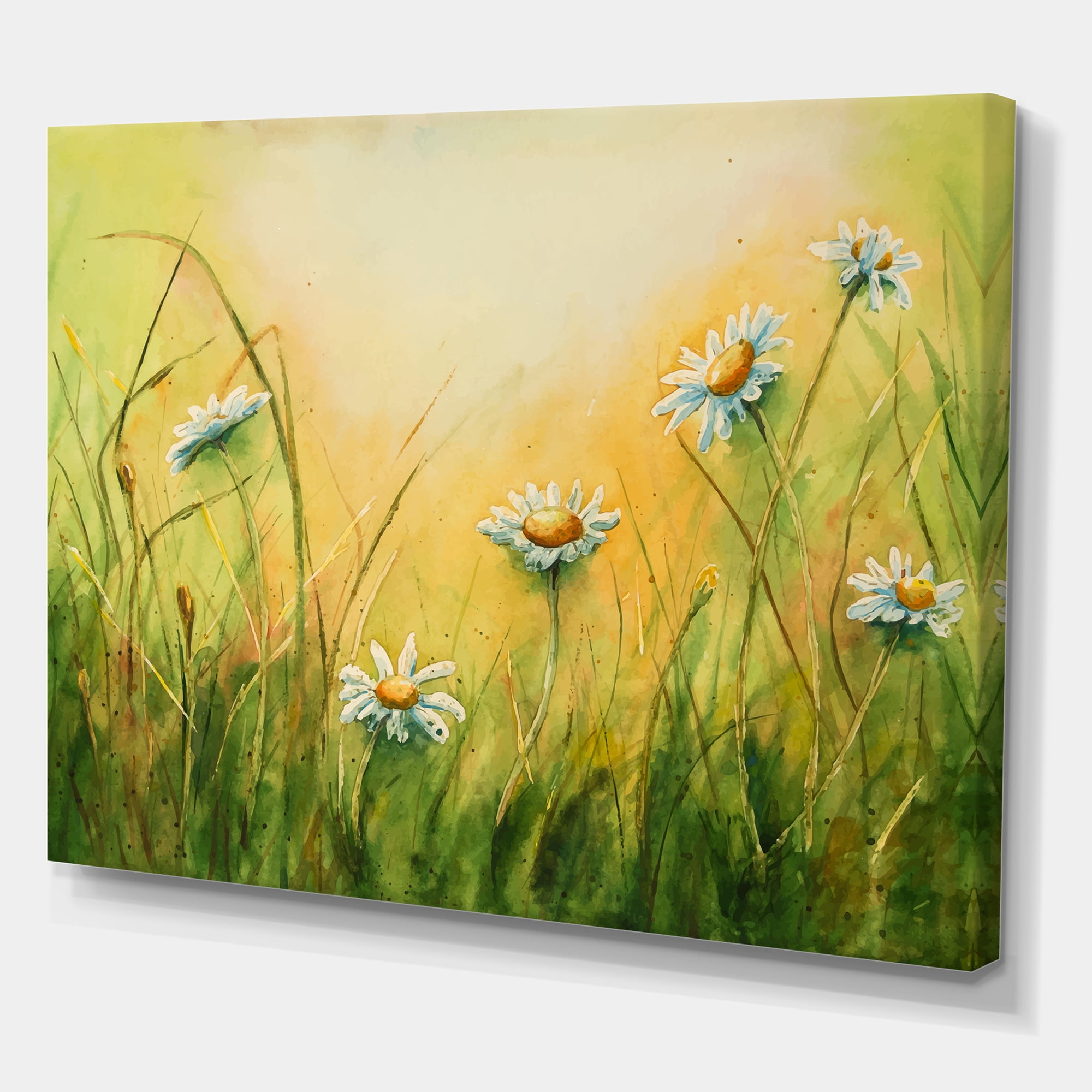 Designart ' Sunset Field With Herbs and Chamomiles ' Traditional Canvas Wall Art Print