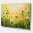 thumbnail image 3 of Designart ' Sunset Field With Herbs and Chamomiles ' Traditional Canvas Wall Art Print, 3 of 4