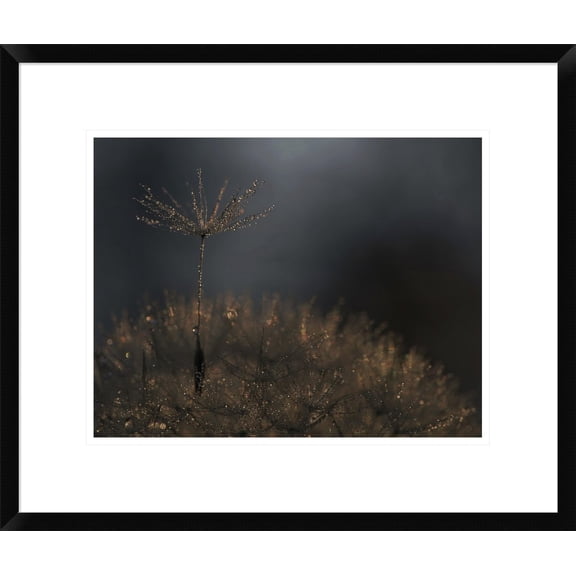 Global Gallery Thierry Dufour 'Standing Toward The Light' Framed Wall Art