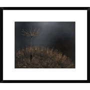 Global Gallery Thierry Dufour Standing Toward The Light Framed Wall Art