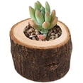 thumbnail image 2 of Pure feline - Titan Tower - Torre para gatos de interior - Juguetes interactivos para gatos de varios niveles - Juguetes de bolas para gatos con torre de fitness - Adecuado para uno o más gatos, 2 of 7