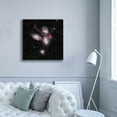 thumbnail image 5 of Epic Graffiti 'Stephan's Quintet 2' by NASA, Canvas Wall Art, 37"x37", 5 of 8