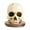 Multicolour, variant on Peggybuy Counter Top Skull Knives Holders Resin Skeleton Decoration Halloween Skull Decor