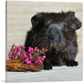 thumbnail image 1 of ARTCANVAS Black Guinea Pig Home decor Canvas Art Print - Size: 36" x 36" (1.50" Deep), 1 of 9