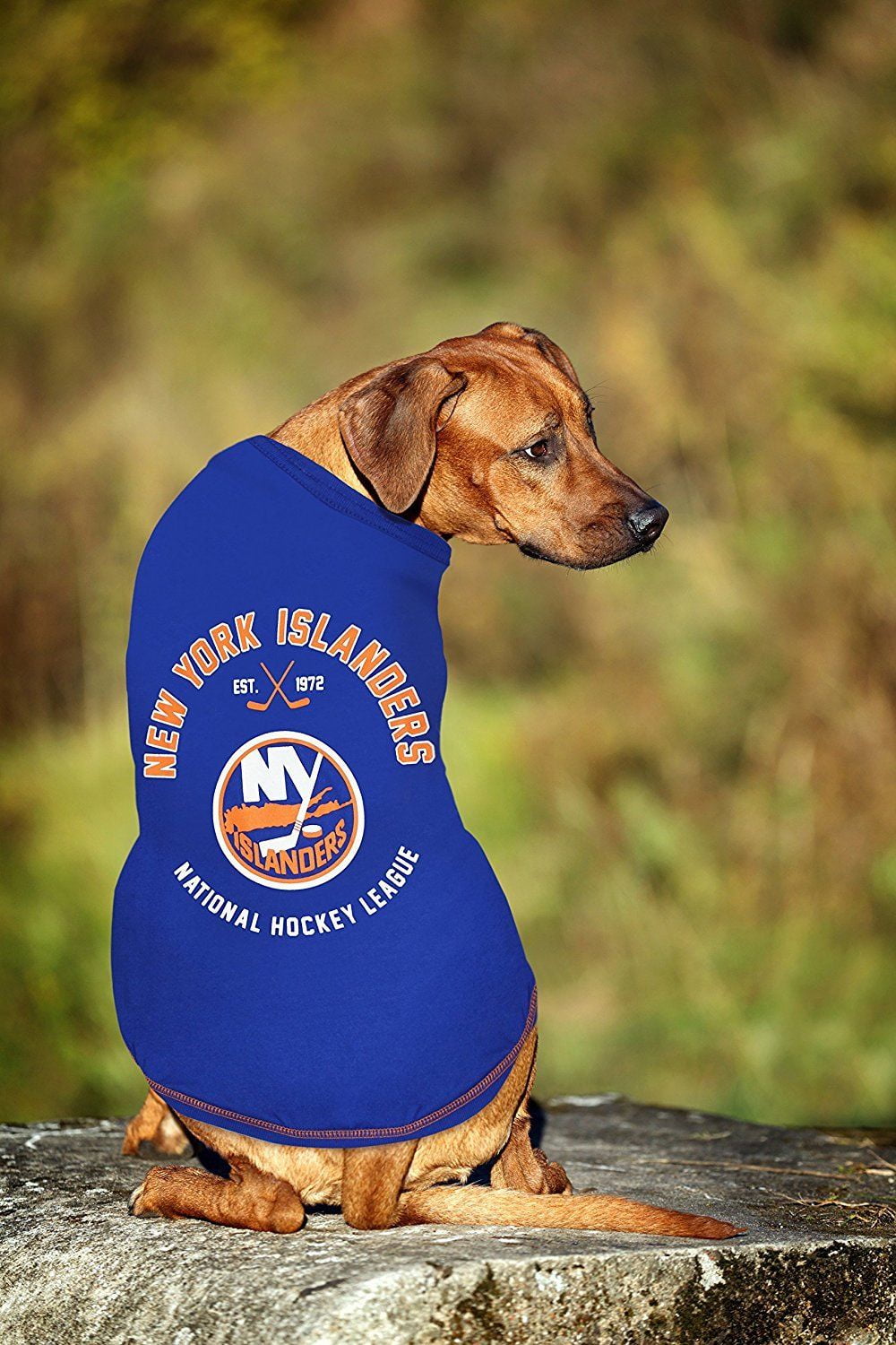 Pets First NHL Hockey Washington Capitals Dog & Cat Jersey - X-Large, On  Sale