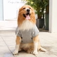 thumbnail image 5 of Dog Hoodie Sweater for Dogs Pet Clothes Solid Color Soft Breathable Cozy,Gifts for Pets(XS,#M), 5 of 5