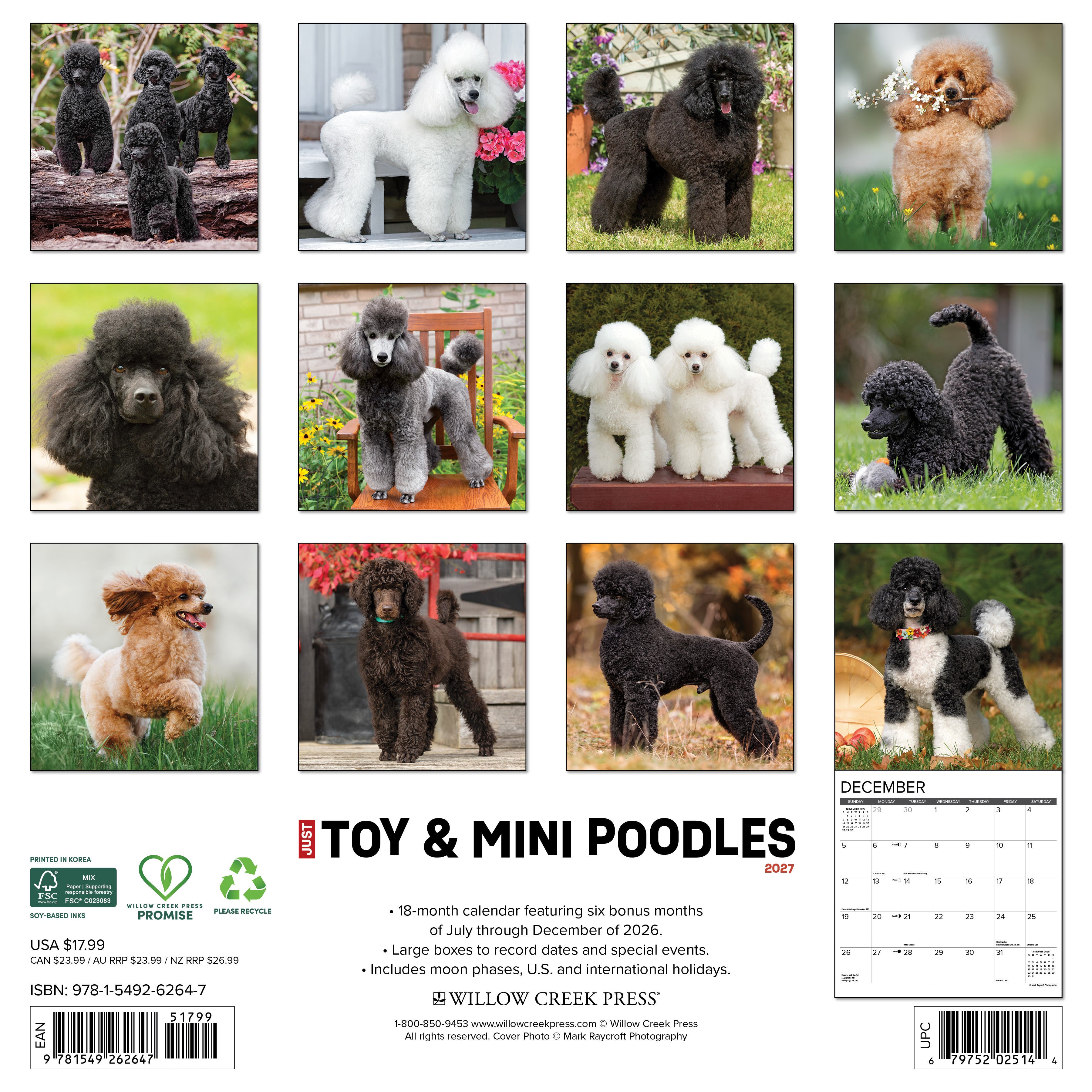 Willow Creek Press, Toy & Miniature Poodles 2027 Wall Calendar