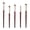Red, variant on Pozyie BK Beauty Brush - Essential Brush Set (5PC) Professional Makeup Brush, the powder puffer is included for mixing, applying and defining the advanced eyeshadow set to achieve a perfect eye look