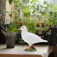 thumbnail image 4 of BRIGHTFUFU Figurina de paloma simulada Craft Craft Artificial Dove Ornament Garden Statue de paloma realista, 4 of 7