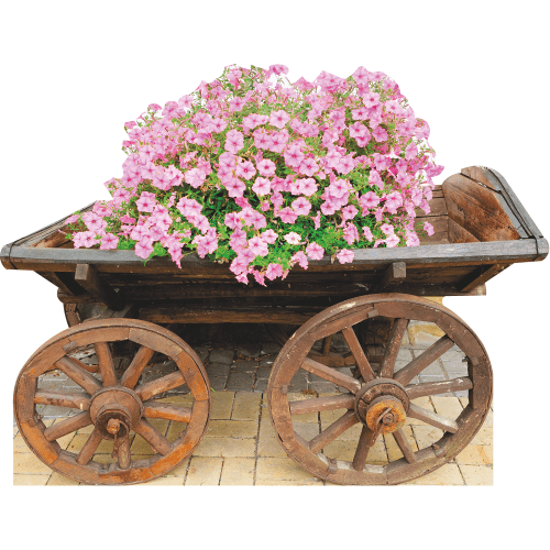 SP13119 Flower Bed Old Wooden Cart Country Western Garden Cardboard Cutout Standee Standup