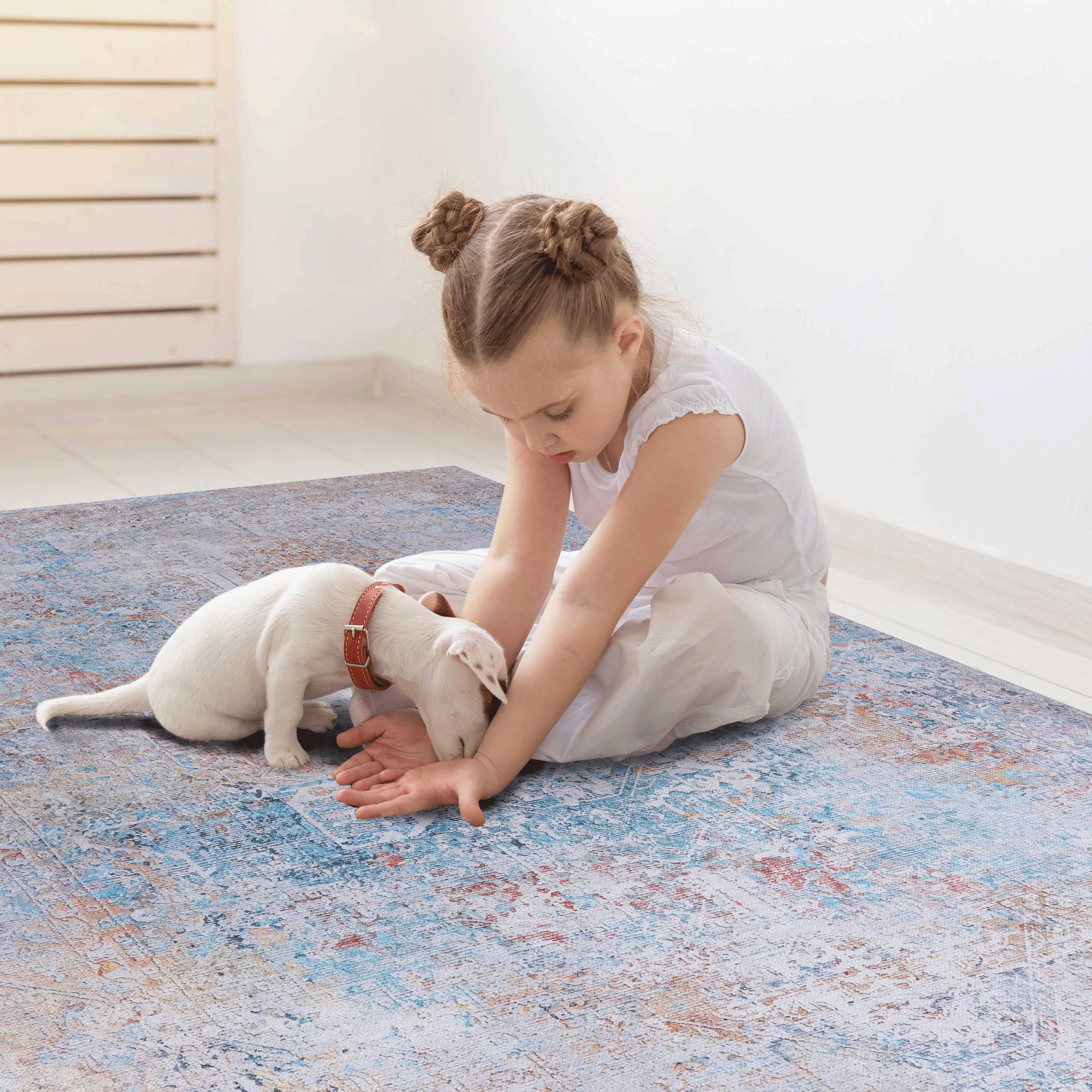 Area Rug 2' x 3' Non-Slip Low Pile Chenille Doormat Rug Stain Resistant Indoor Carpet for Living Room Bedroom Kitchen Entryway Hallway