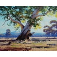 thumbnail image 2 of Gercken, Graham 18x15 White Modern Wood Framed Museum Art Print Titled - Old River Gum Tree, 2 of 4