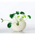 thumbnail image 3 of Artificial Flowers Flower Ceramic Eggshell Vase,Home Decoration Decorations, 3 of 4