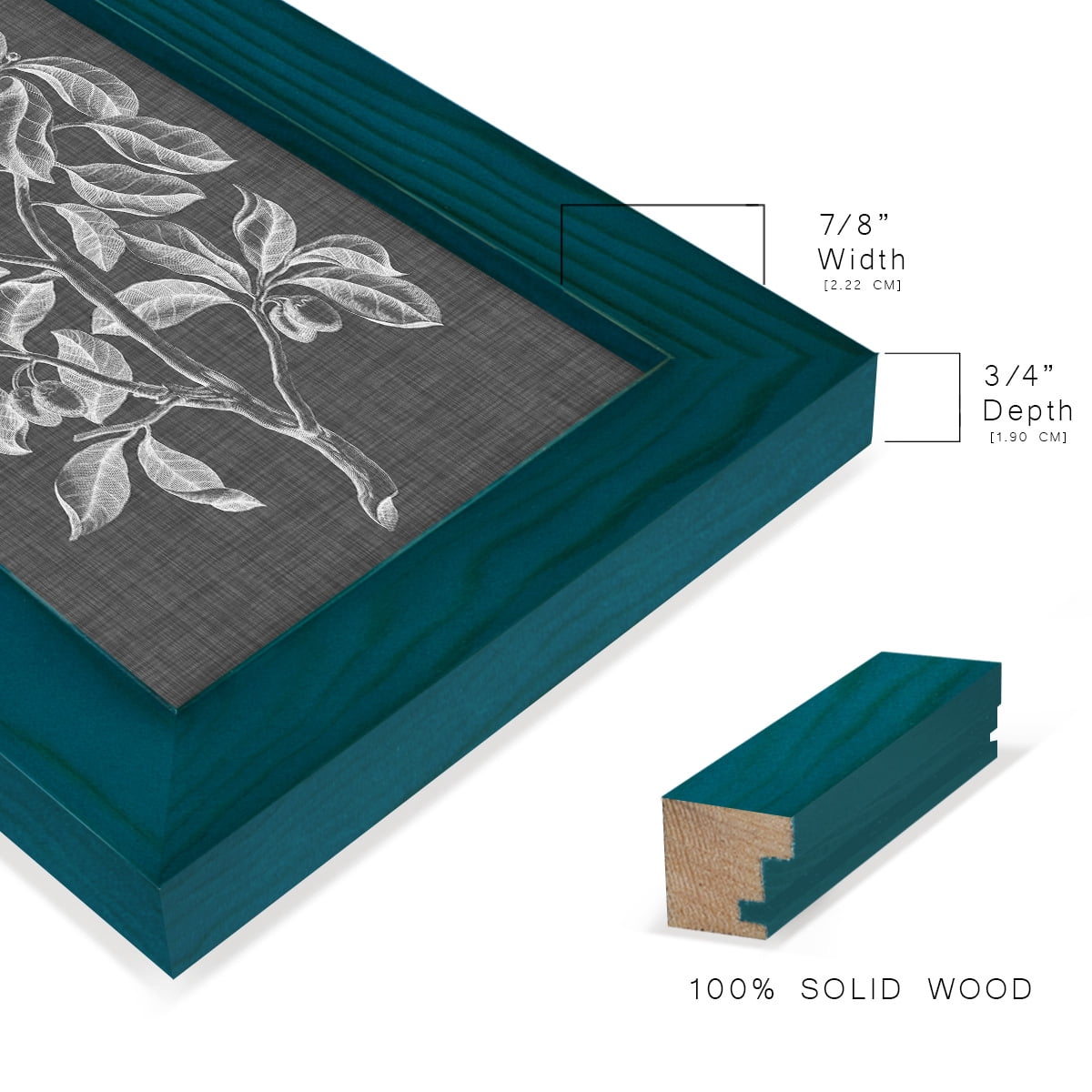 Graphic Foliage I - Framed Print w/glass - Ocean Blue