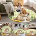 thumbnail image 6 of Groundhog Day 3ft Area Rug, Yellow Plaid Sunflower Spring Floral Washable Non-Slip Small Round Rugs for Entryway Bedroom Kitchen, Soft Circle Carpet for Dining Room, Playroom Nursery Rug, 6 of 9