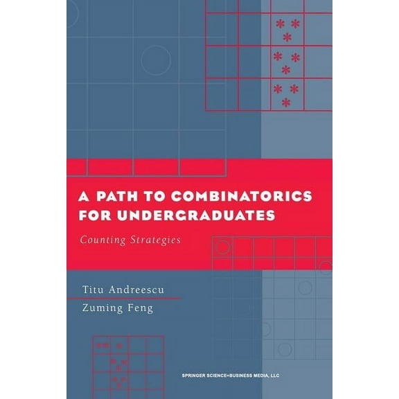 A Path to Combinatorics for Undergraduates: Counting Strategies, (Paperback)