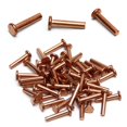 thumbnail image 1 of HUGFEGWE Flat Head Solid Copper Rivets Nuts Copper Flat Head Semi-Tubular Rivets for Household Automobile Industry Brass Tone 4x20mm 50PCS CJB91-25877, 1 of 7