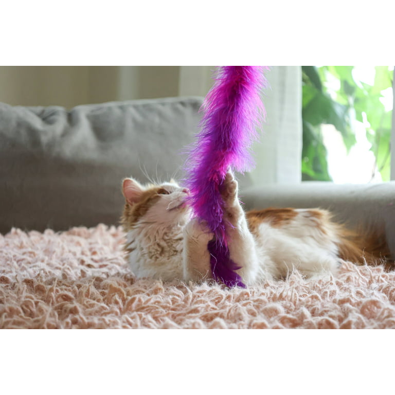 Clearance! Pawaboo Cat Wand Toy, 4 Pack Feather Cat Toy with