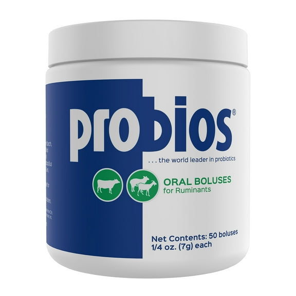Probios Bolus, 0.25 oz, 50/jar