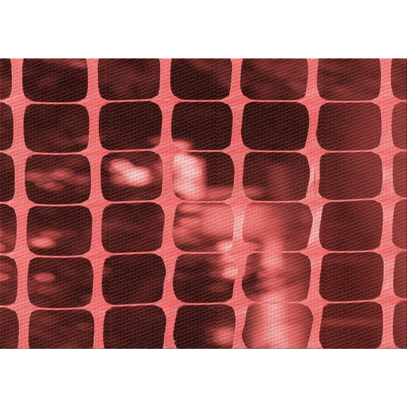 Ahgly Company Machine Washable Indoor Rectangle Transitional Grapefruit Red Area Rugs, 7' x 9'