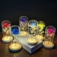 thumbnail image 2 of PENGXIANG LED Rose Flower In Glass Dome with Lights Infinity Crystal Rose Flower Enchanted Glass Rose Best Gift B, 2 of 6