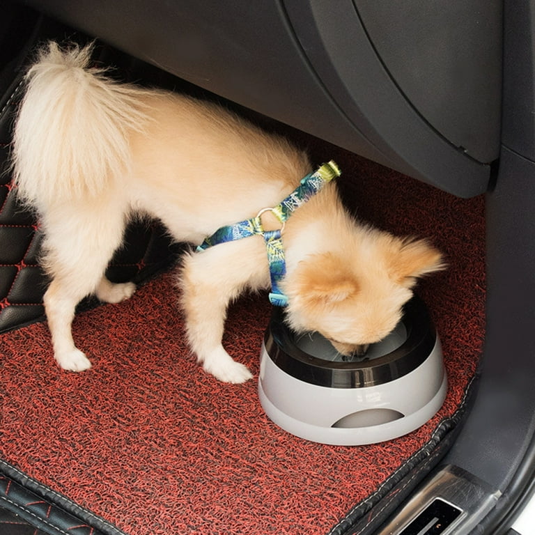 Dog 2024 water feeders