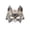 A002- Silver, variant on Silver Masquerade Mask 10 X 9 Inch Steampunk Halloween Fox Mask Adult Masquerade Mask for Masquerade Party Halloween Accessory Single Piece