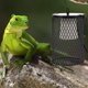 thumbnail image 3 of Reptile Anti-scald Lamp Heater Guard Reptile Parrot Heating Lamp Shade (US Plug), 3 of 6