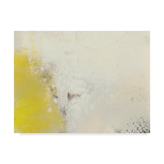 Trademark Fine Art 'Yellow Lux I' Canvas Art by Sue Jachimiec