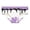 a-Dark Purple, variant on Toddler Girl Swim Bottoms Elastic Waist Bikini Underpants UPF50+ Sun Protection Swimwear Gymnastics Dance Sports Quick-Dry for Youth 2T