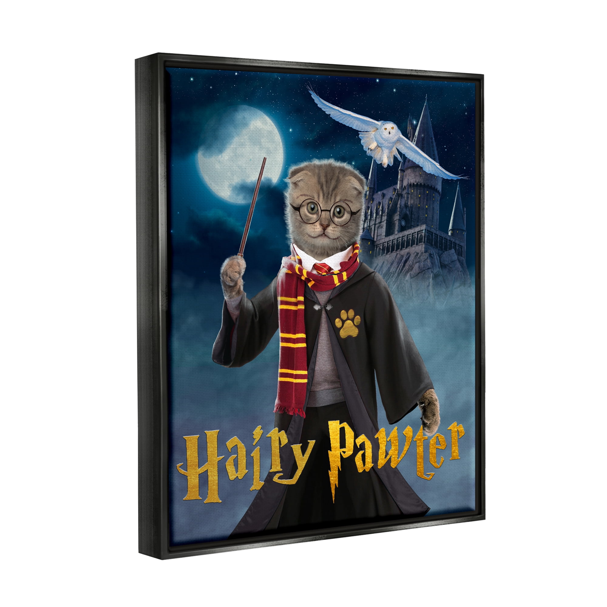 Stupell Industries Hairy Pawter Cat Wizard Animals & Insects Painting Black Floater Framed Canvas Art Print Wall Art, 17 x 21