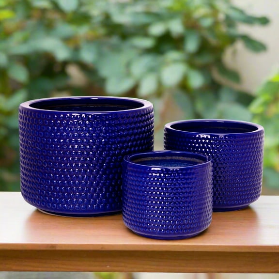 Beyora Blue Ceramic Planter Set (Set of 3)