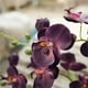 Artificial Potted Orchid Plant, Silk Flower Arrangement with Ceramics