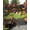 Black, variant on Bohemian Sun Sail Shades Rectangle Canopy,Sunlight Block Heavy Duty Curved Backyard Shade Cover,Red Green Tribal Mexican Abstract Flower Waterproof Sun Shades for Patios Garden Pergola Outdoor 8'x10'