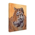 thumbnail image 2 of Jacob Green 'Lord of the Jungle II' Canvas Art, 2 of 3