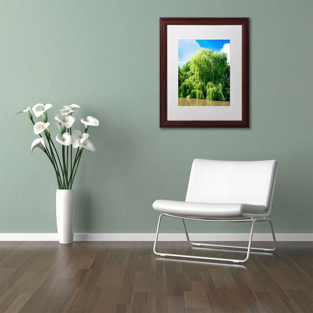 Trademark Fine Art "Weeping Willow" Canvas Art by Philippe Sainte-Laudy, White Matte, Wood Frame