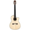 14 Maple Fusion Classic Acoustic-Electric Guitar