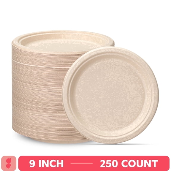 GUSTO 9 Inch 100% Compostable Paper Plates, Eco-Friendly Heavy Duty Disposable Dinnerware, 250 Count
