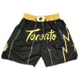 thumbnail image 1 of Raptors Retro Full Embroidered Zipper Pocket Pants, Basketball Dense Embroidered Shorts, Basketball Training Pants-SHUNJING, 1 of 3