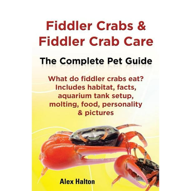 Fiddler Crabs & Fiddler Crab Care. Complete Pet Guide. What Do Fiddler