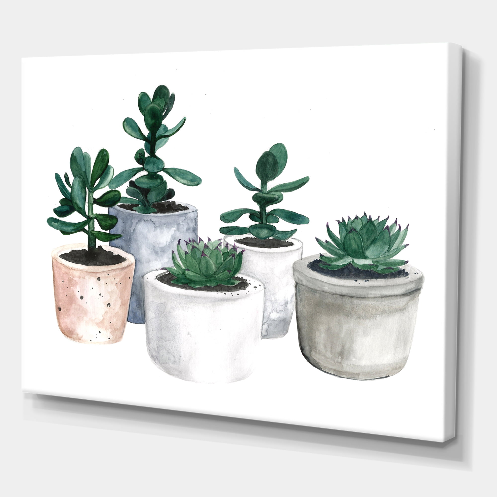 Designart ' Succulent and Cactus House Plants VI ' Farmhouse Canvas Wall Art Print