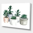 thumbnail image 3 of Designart ' Succulent and Cactus House Plants VI ' Farmhouse Canvas Wall Art Print, 3 of 4