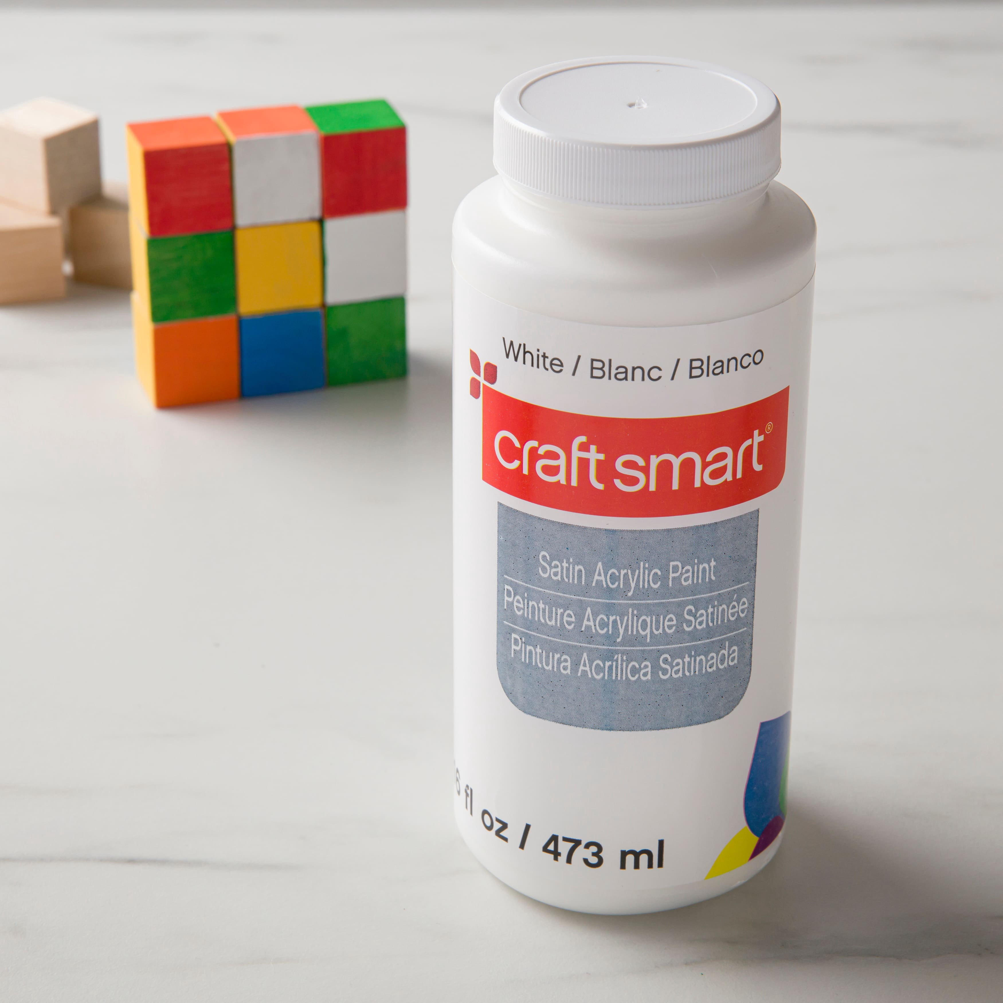 Craft Smart 16oz. White Satin Acrylic Paint - Non-Toxic Paint for Drawing, Painting, Art & Crafts Supplies - Bulk 9 Pack
