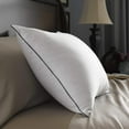 Pacific Coast Feather Double Around Down and Feathers Pillow