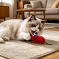 thumbnail image 5 of Interactive Cat Toys Plush Mouse with Catnip for Indoor Cats, Catnip Filled Soft Squeaky Chew Toys for Boredom Relief and Stress Relief, Pet Toys for Self-Play and Hunting Exercise（1PC*Pet Toys）, 5 of 8