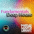 thumbnail image 3 of DEEP HOUSE MEGA Bundle Part 2 - 10 Large Essential WAVE Samples/Loop Studio Libraries. Download only!, 3 of 13