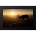 thumbnail image 2 of Jonas, Nadav 18x13 Black Modern Framed Museum Art Print Titled - Desert Wanderer, 2 of 5