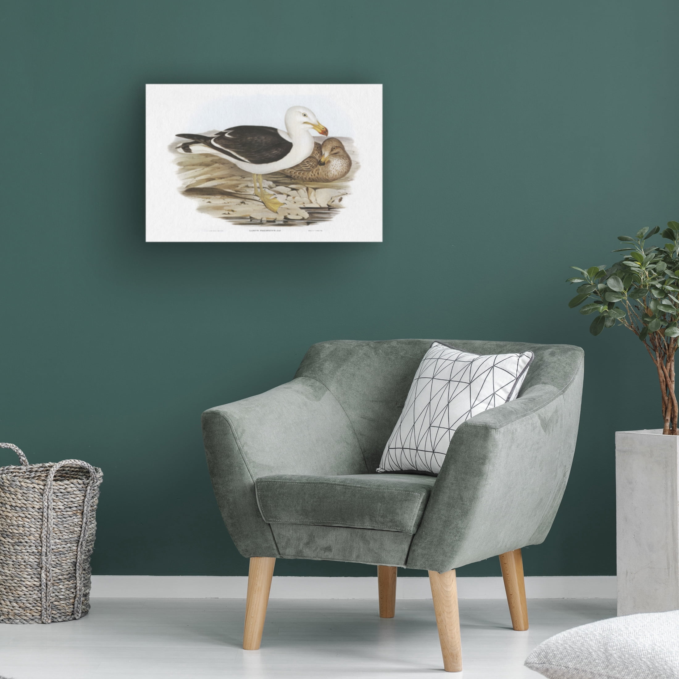 Trademark Fine Art Elizabeth Gould Seabird Pairing I Canvas Wall Art