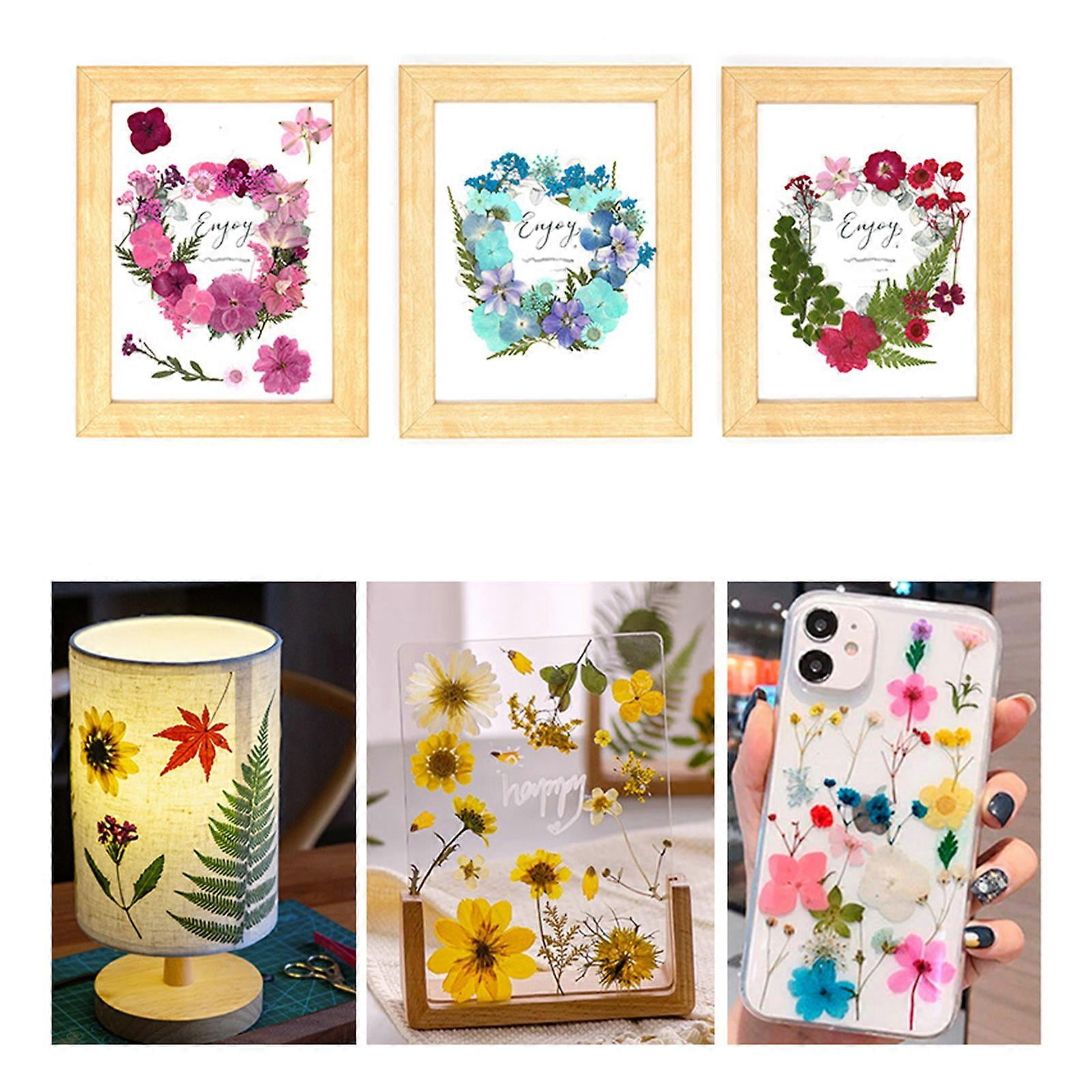 30Pcs Pressed Flower Art Craft Embellishment Supplies For Handmade Bookmarks Candle Jewelry Making Scrapbooking